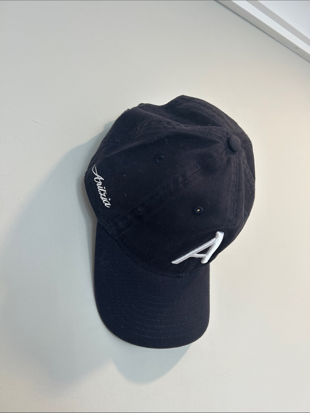 Aritzia Black Baseball Hat with White Embroidery